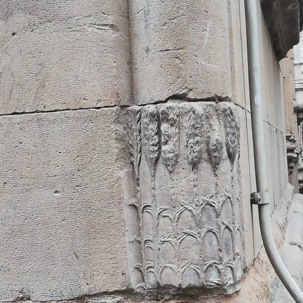 75553094_1494696370699543_6258265622312910848_n