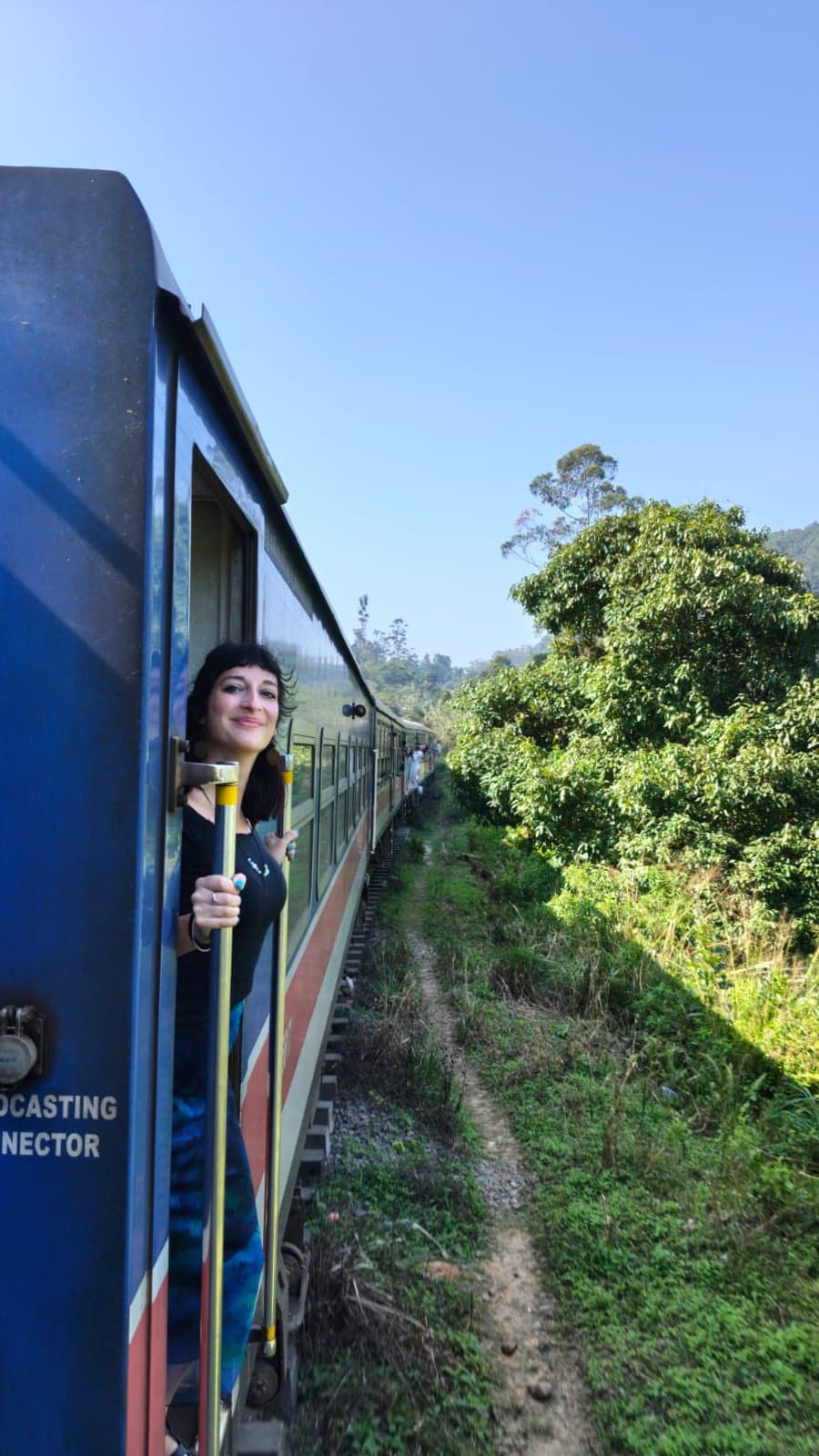 Sorry for the late answer, I have been busy doing this :) I’ll be back in one week 🐘