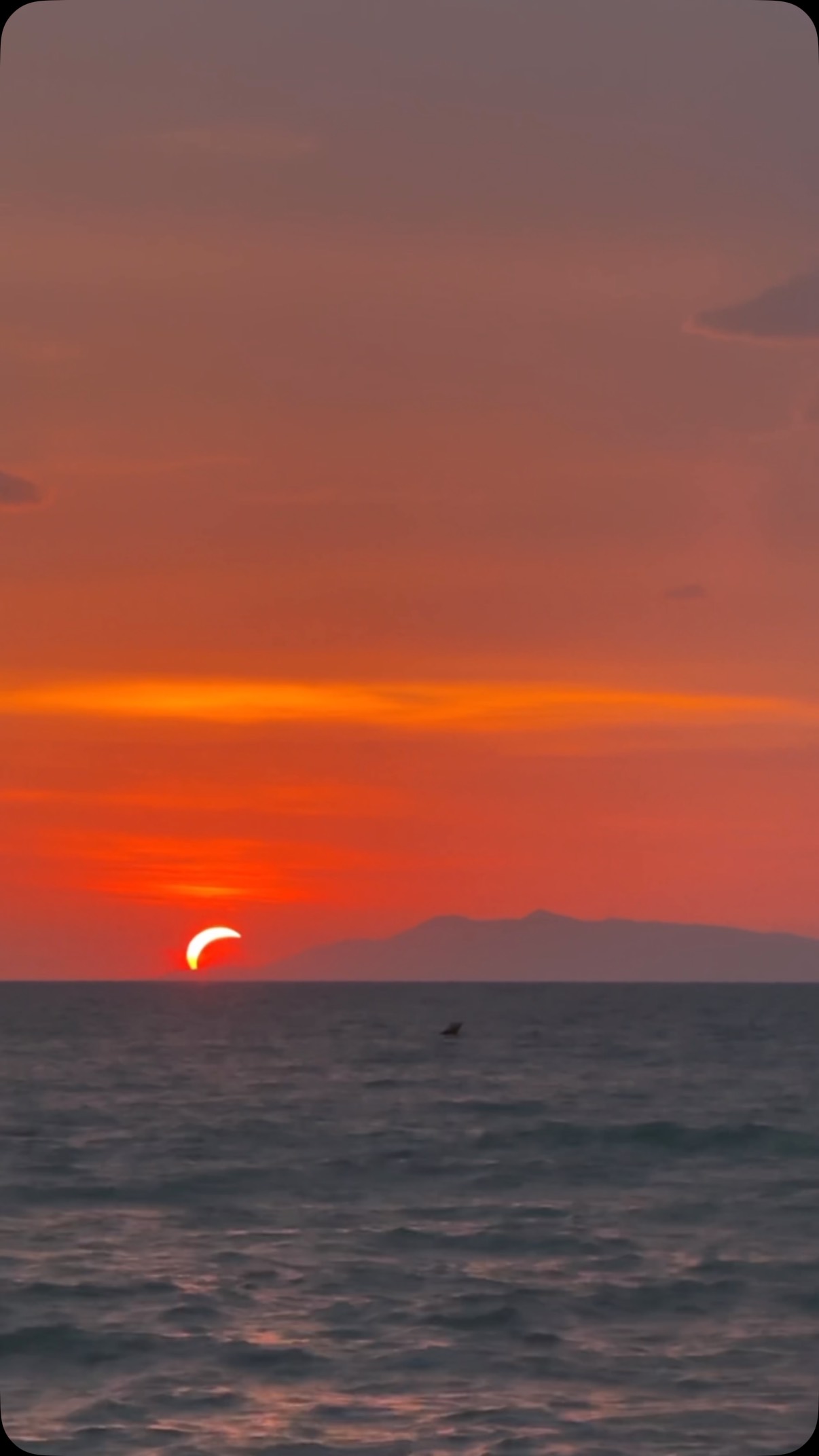 And finally they meet 🌕🌓🌘

#eclipse #eclipse2026 #eclissisolare