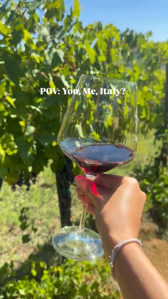 What could be better than a tour of Tuscany during the grape harvest season? 🍇🍷☀️ Share this post and tag someone you’d love to bring with you! ❤️

#tuscanyvibes Tuscany #VisitTuscany #wine