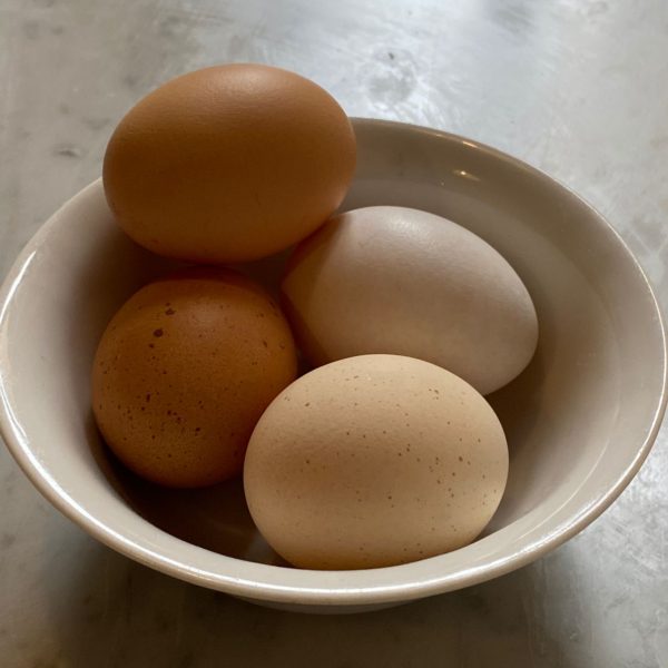 WhatsApp Image 2022-02-18 at 18.38.26