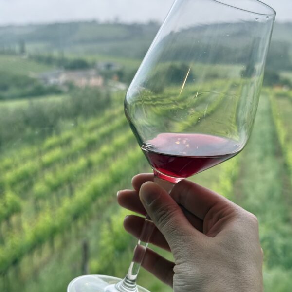 A glass of wine