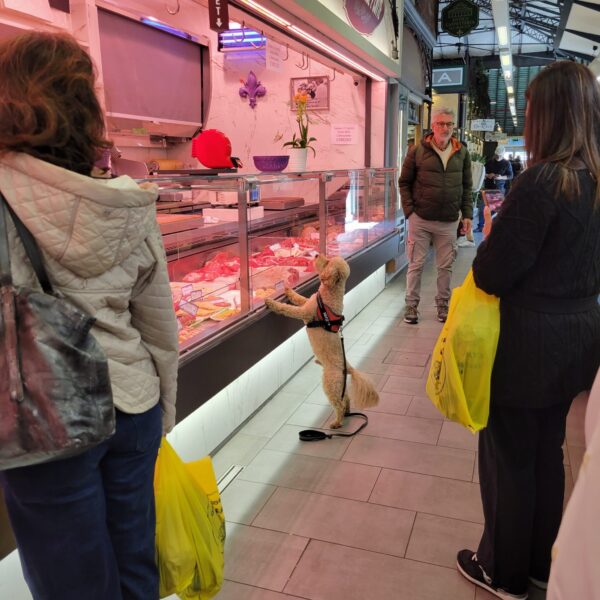 At the Market