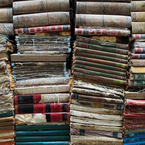 Books of Acqua Alta Library