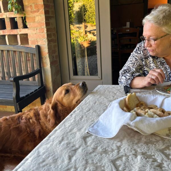 Dinner with a special friend