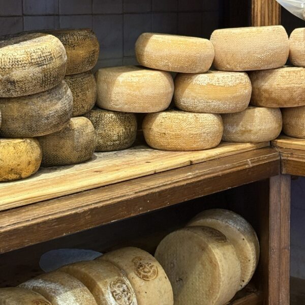 Pecorino Cheese in Pienza