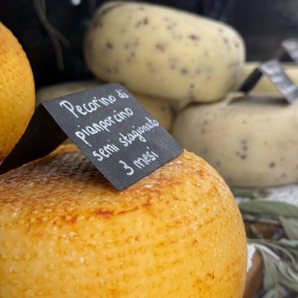 Pecorino Cheese