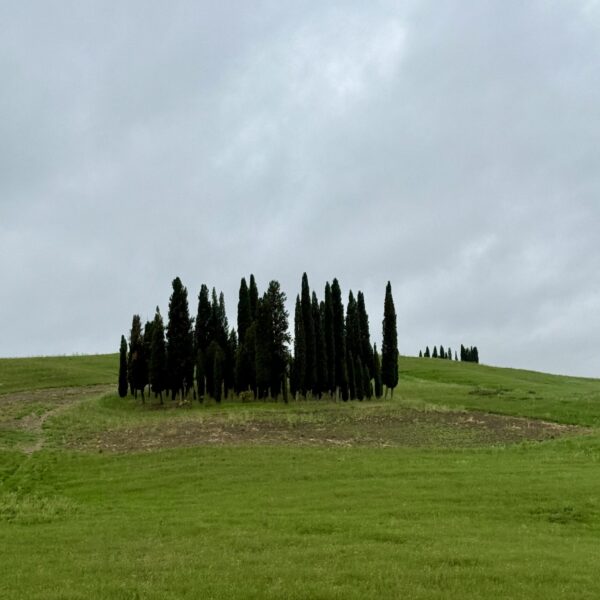 Val d’Orcia detail