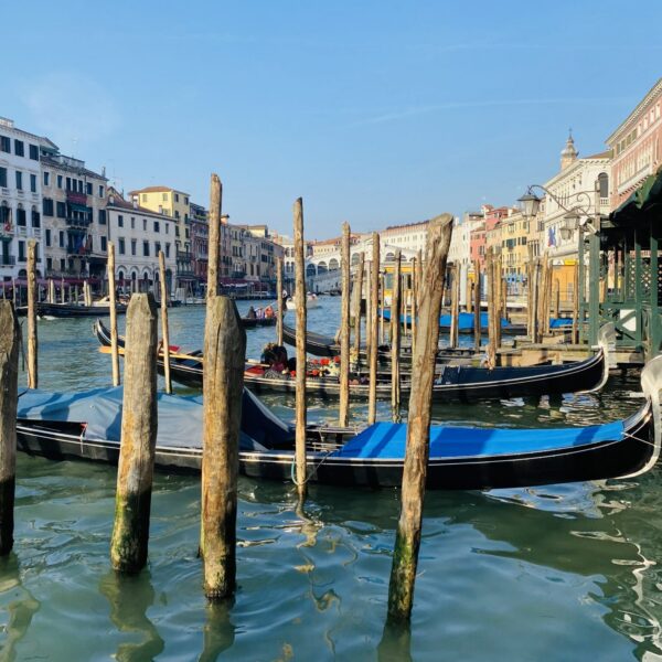 Venetian Gondolas