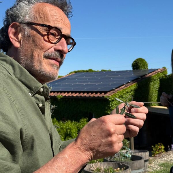 Winery Owner