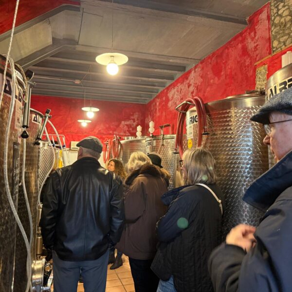 Winery Tour