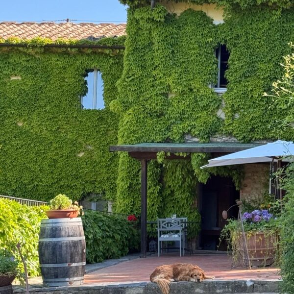 Winery detail