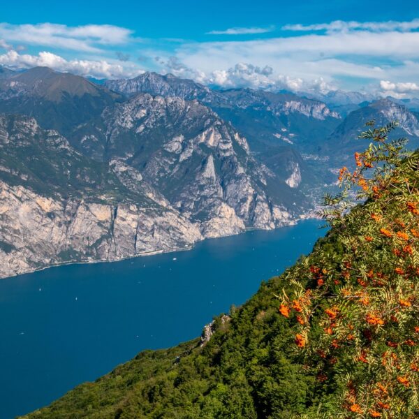 Lake Garda lago di garda, garda, italy, monte baldo, gardasee, garda lake, sirmione, lazise, malcesine, bardolino, salò, alpi, alps, nature, landscape, gardasee, gardasee, gardasee, gardasee, gardasee