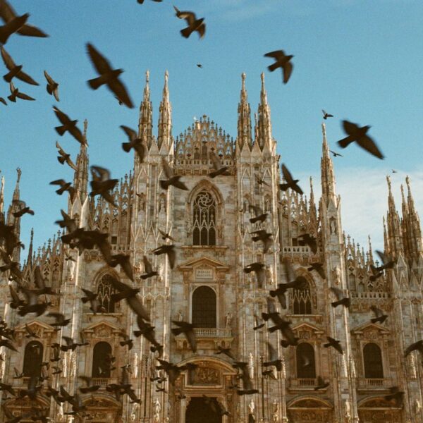 Milan – Duomo A stunning view of the iconic Milan Cathedral with birds flying against a clear blue sky.