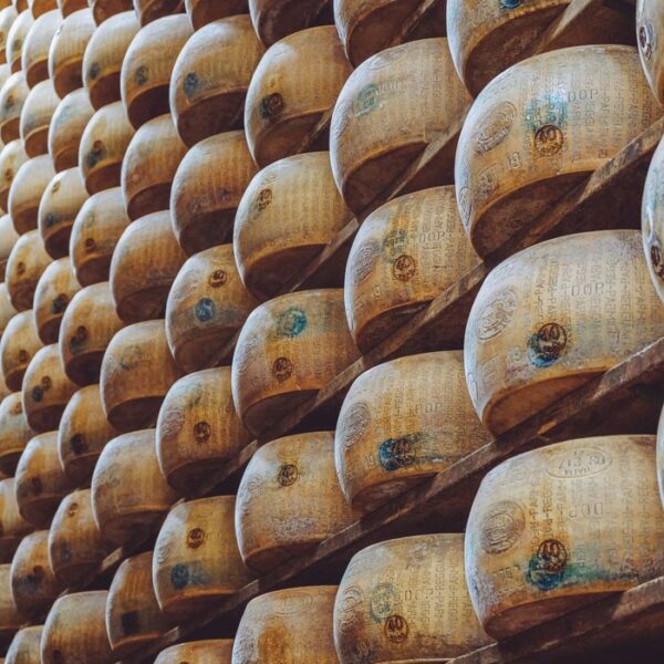 Parmigiano Reggiano Rows of aged Parmesan wheels on wooden racks in a traditional Italian cheese factory.